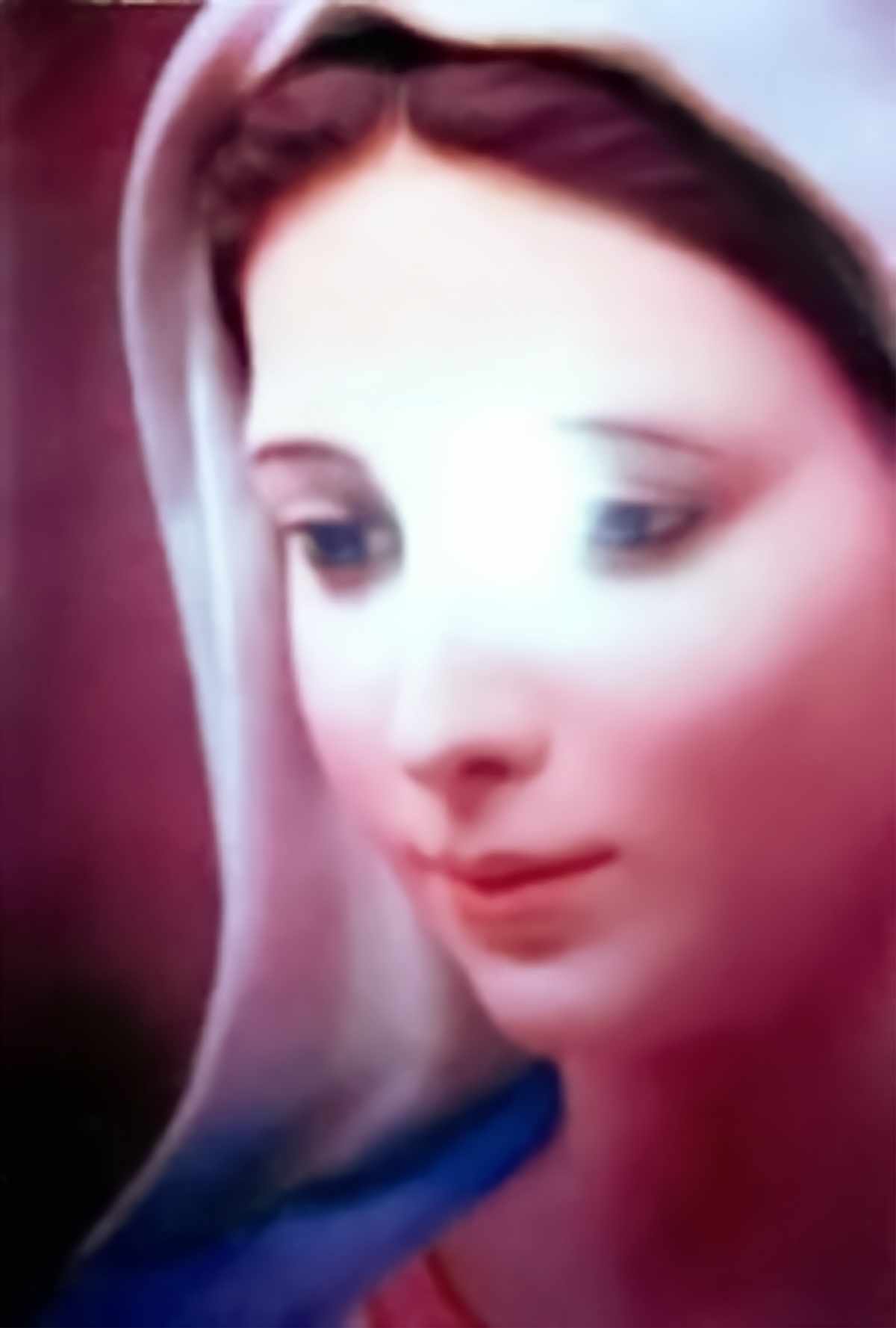 The Face of Love of Our Lady